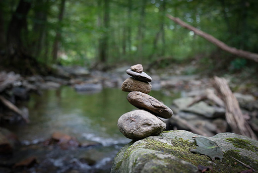 Seasonal Transitions: Natural Ways to Stay Balanced as Weather Changes